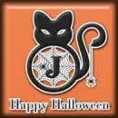 Black cat spider 
