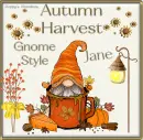 Autumn Harvest Gnome Style - Jane