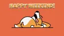 dog sleeping