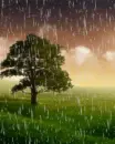 rain