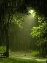 rain