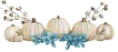 White pumpkin divider