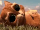 red cat