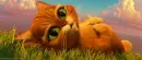 red cat