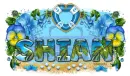 Shian - Summer Dolphins