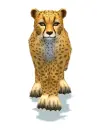 cheetah