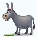 donkey