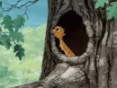 squirrels