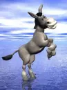 donkey