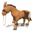 donkey