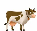 cow