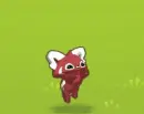 red panda