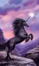 black unicorn