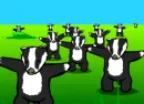 black-white animals