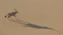 oryx