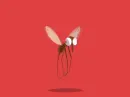 mosquito
