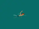 fast swimming