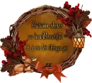 Autumn shows us 