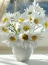 white flowers