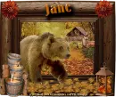 Bear - Jane