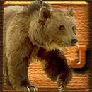 Bear Avatar - J