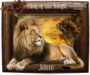 King of the Jungle - Jane