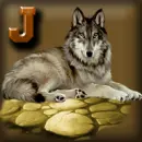 Wolf Avatar - J