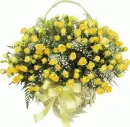 yellow rosas