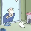 white cat