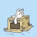 white cat