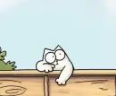 white cat