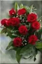red rosa