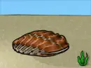 fish is morphing the mermaid