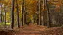 autumn