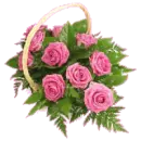 pink rosas