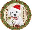 Merry Christmas Doggie - Jane