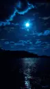 nature in the night