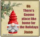 Gnome place like home - Jane