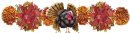 Turkey Divider