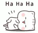 Laugh cat