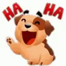 laugh dog