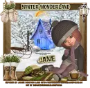 Winter Wonderland - Jane