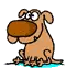 brown dog