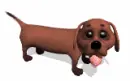 brown dog