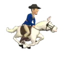 white horse