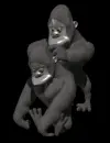 gorillas
