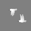 white-black birds