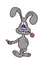 grey bunny