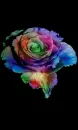 color changed rosa