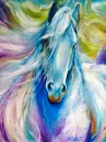 rainbow horse